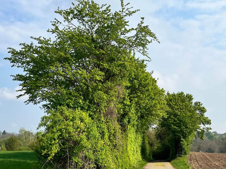 22-04-25 10-22-45 0608